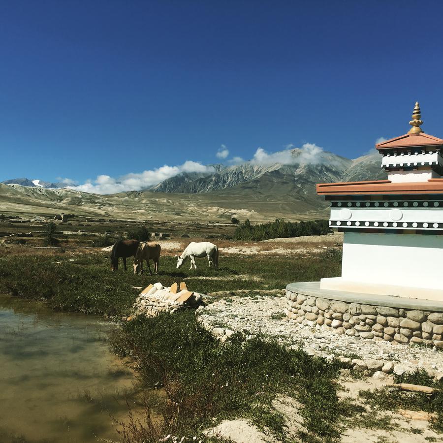Royal Mustang Resort Nāmbo Exterior photo